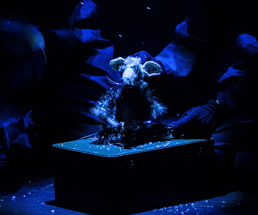 Rat Snow